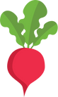 Radish Illustration